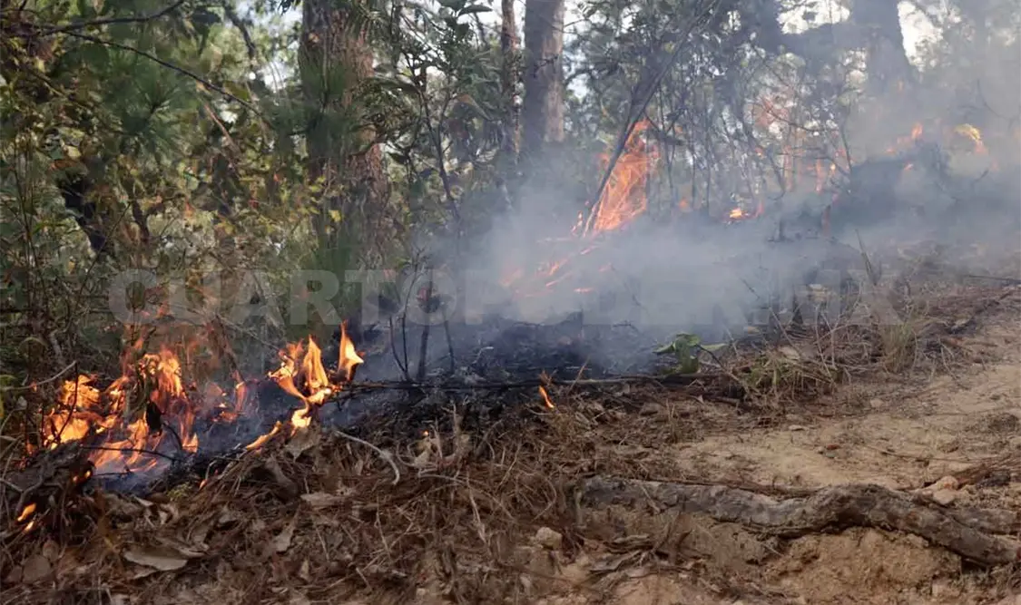 Control de quemas, deben ser autorizadas