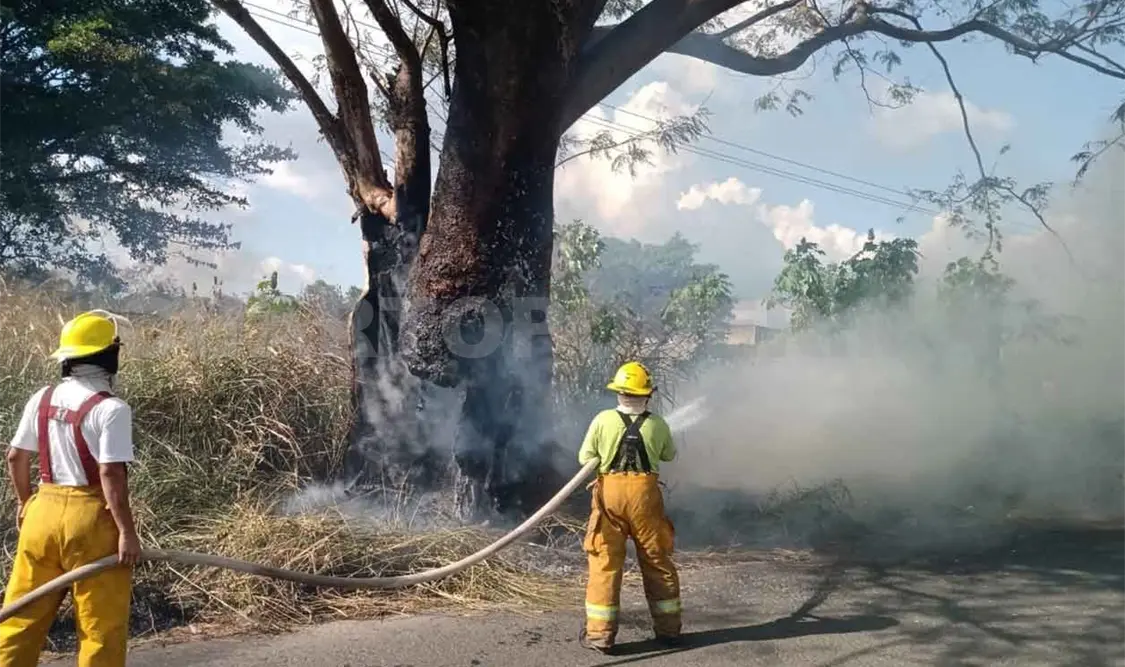 Anuncian sanciones para responsables de incendios