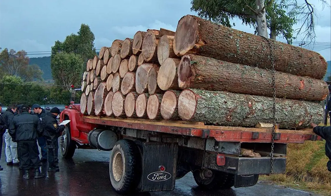 Reiteran la importancia de tener leyes ambientales que vigilen que no se comentan más daños a los ecosistemas. Cortesía