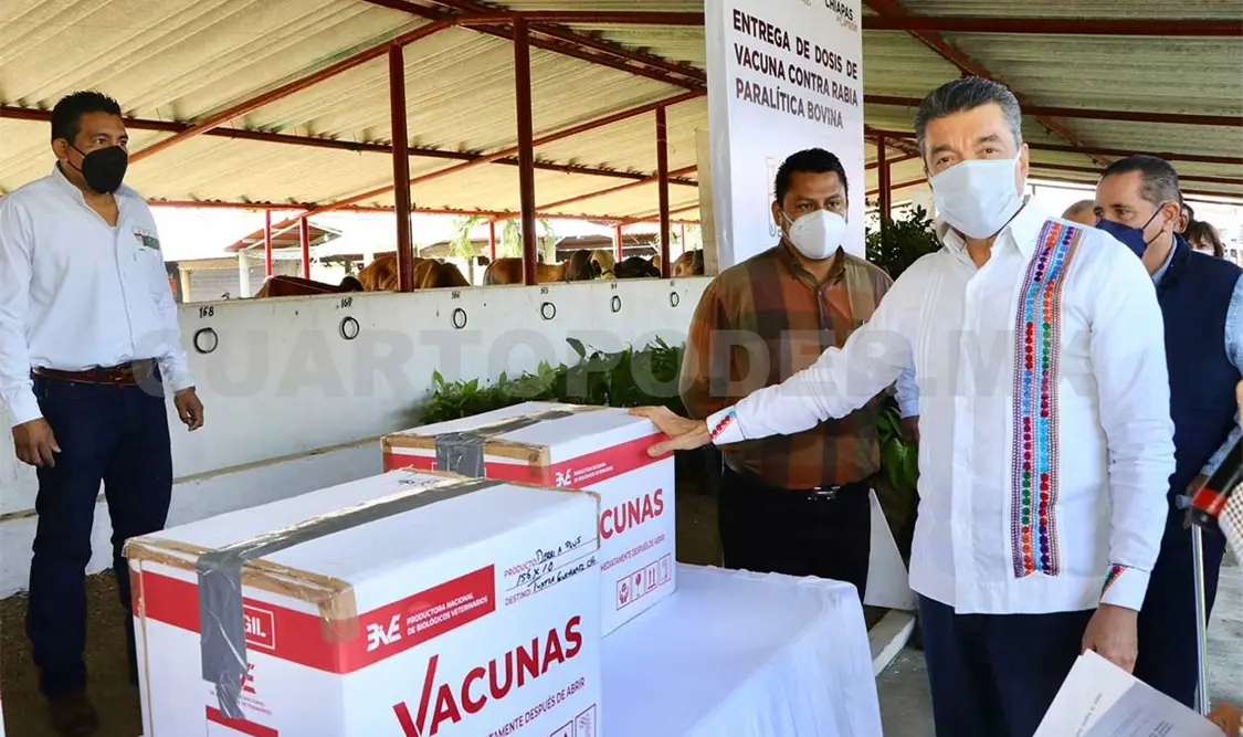 Arranca campaña contra la brucelosis bovina