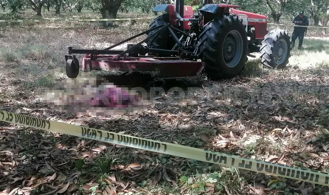 Muere aplastado por chapeadora