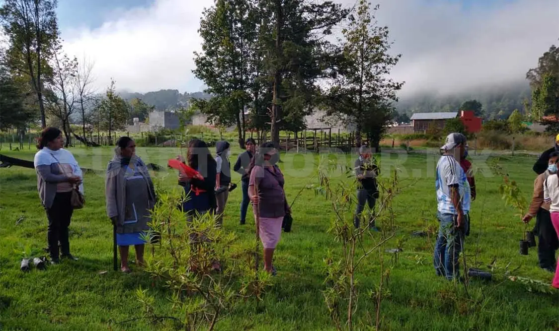 Más de 100 denuncias por delitos de ecocidio