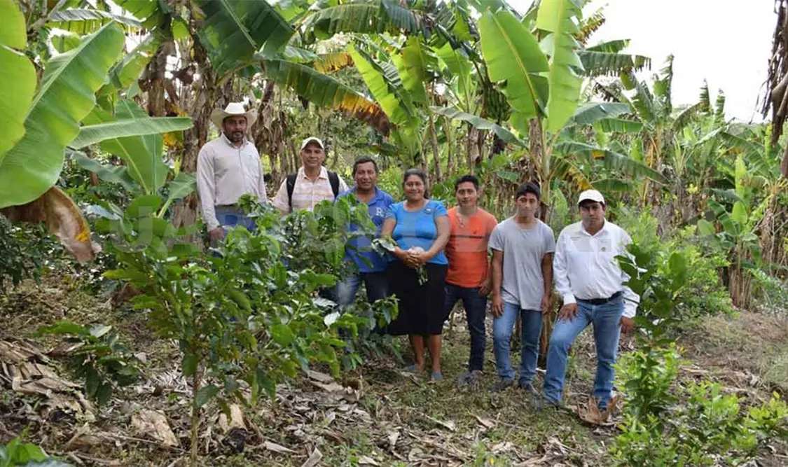 Logran mejorar producción con mejores prácticas