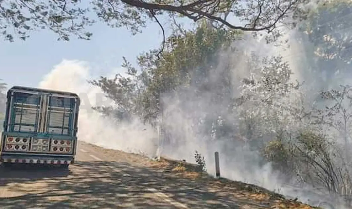 Al menos unas 50 hectáreas de parcelas fueron consumidas por el fuego durante la mañana de este sábado en distintos puntos. CP