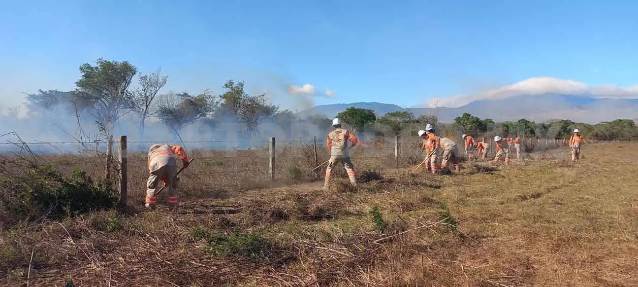 Brigadas atienden incendios en la región Istmo-Costa