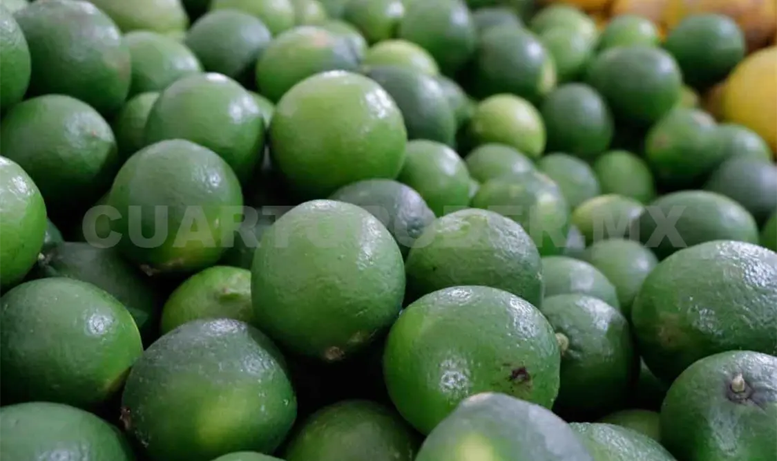 Productores con más ingresos sin intermediarios