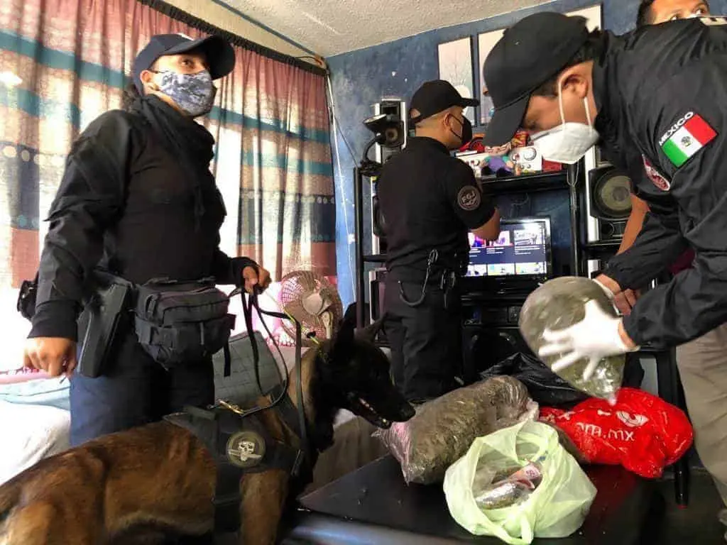 Participan en un operativo más de dos mil efectivos de la SSEM, Guardia Nacional y de la FGJ del Estado de México. Cortesía