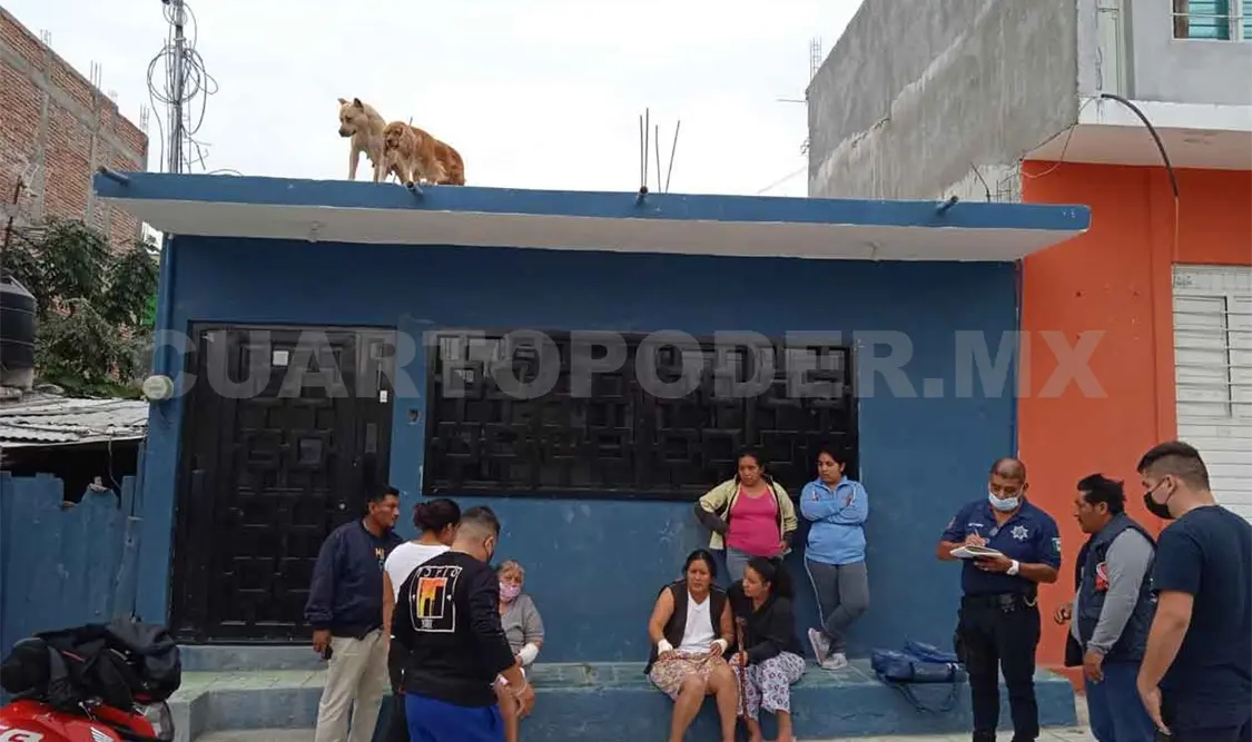 Falta de responsabilidad provoca ataques de perros