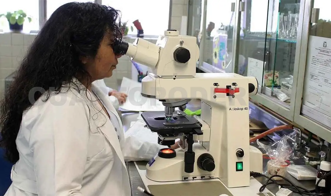 Falta mayor participación de la mujer en la ciencia