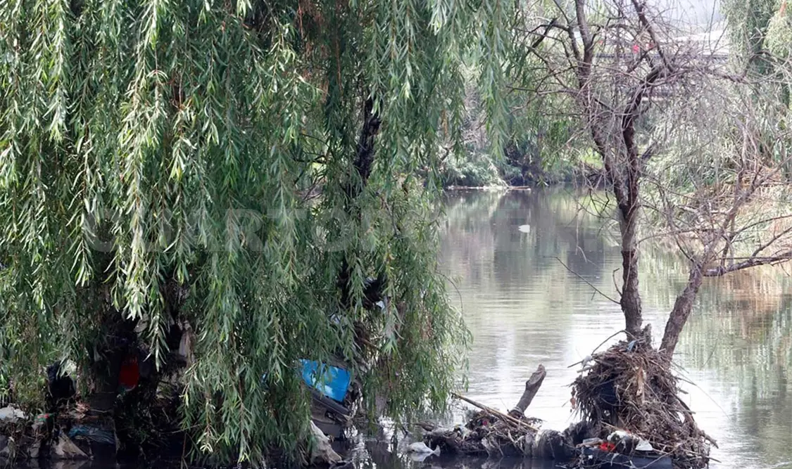 Condenan invasión a espacio autónomo