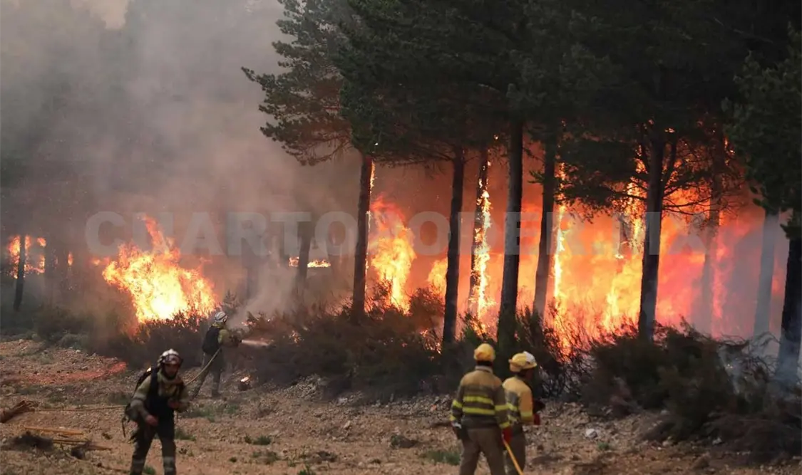 Más de 150 brigadistas combaten incendios activos