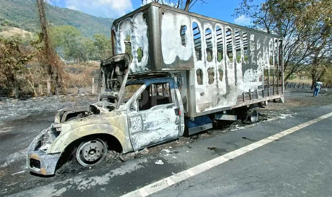 Se incendia camión y termina calcinado