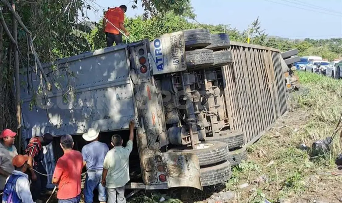 “Panzona” se accidenta y mueren varias reses