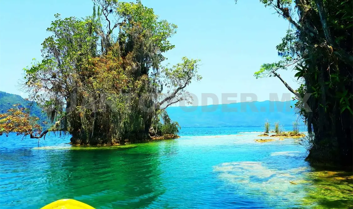 Islas chiapanecas son de alta importancia biológica