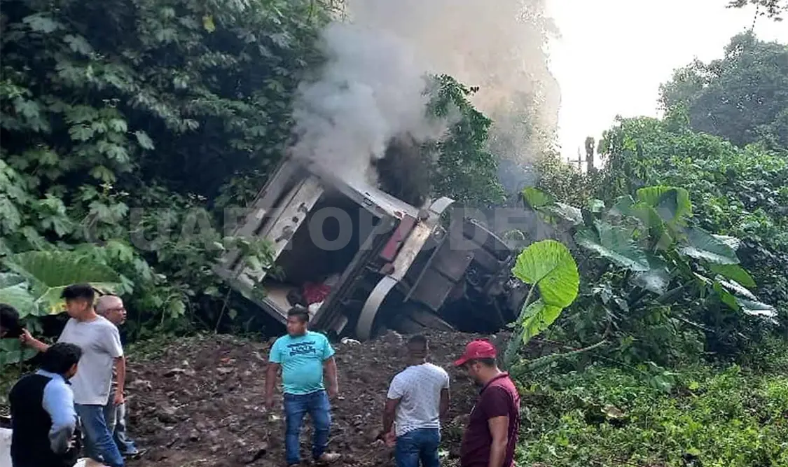 Se estrella contra árboles y termina incendiándose