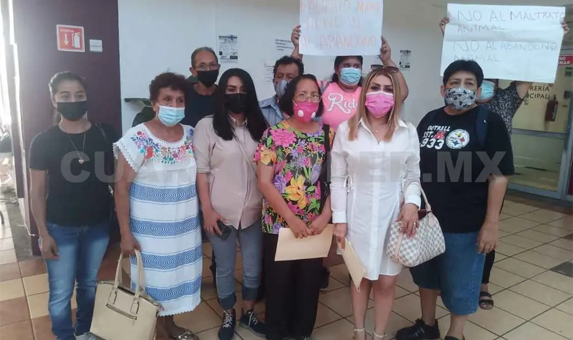 Protectores de animales piden sanciones más severas