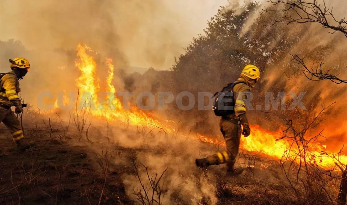 Incidencia por incendios de pastizales es baja