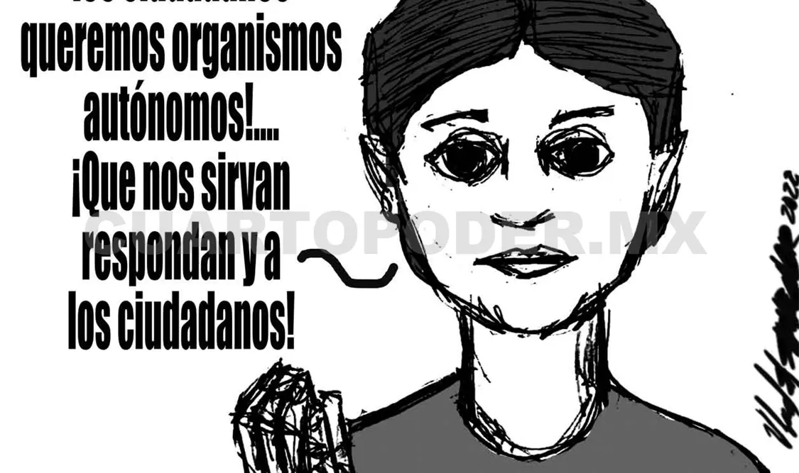 Democracia y transparencia: por qué importan las instituciones