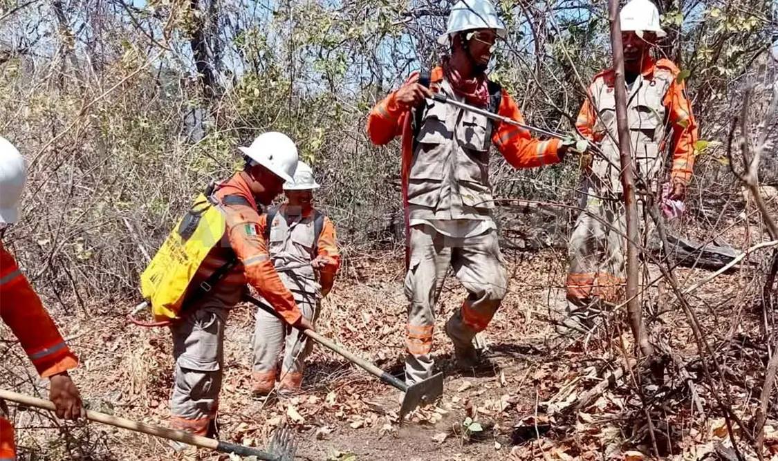 En Chiapas se han combatido 14 incendios forestales