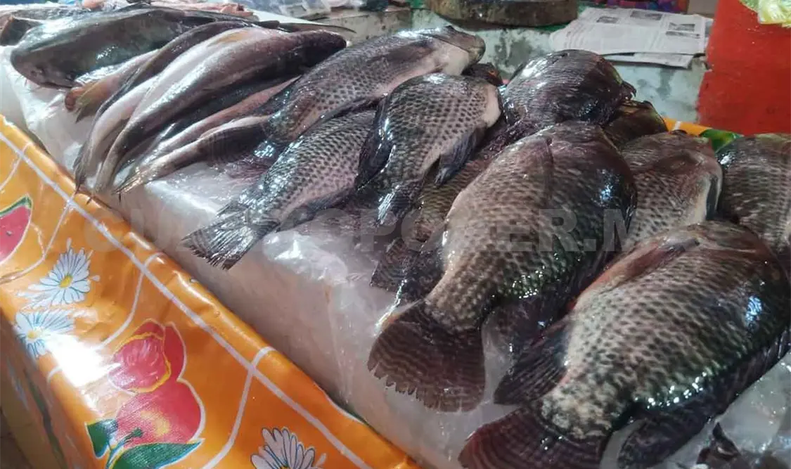 Incrementa precio de pescados y mariscos