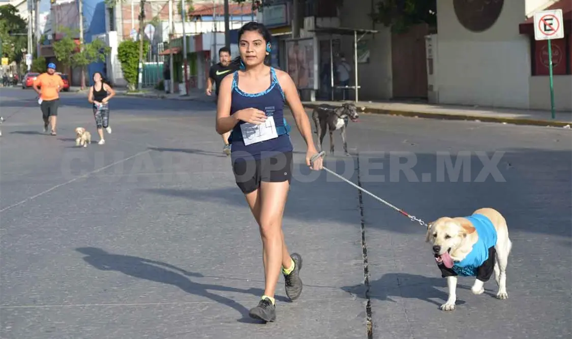 Lista la justa atlética Perritos sin Casa