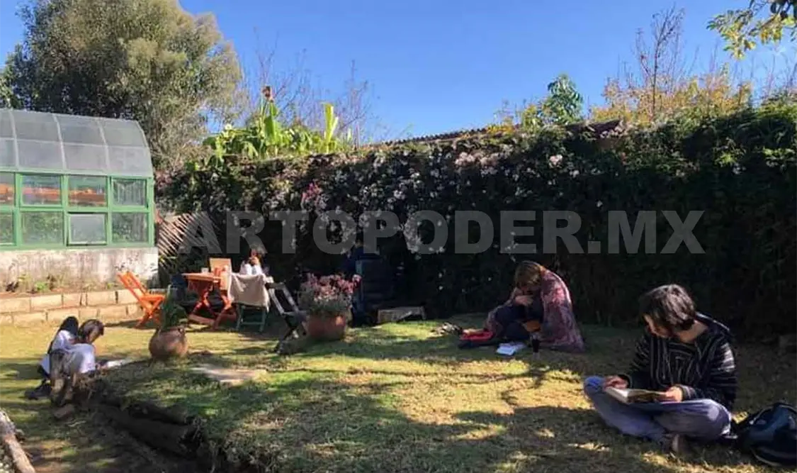 Jardín presenta especies de begonia en San Cristóbal