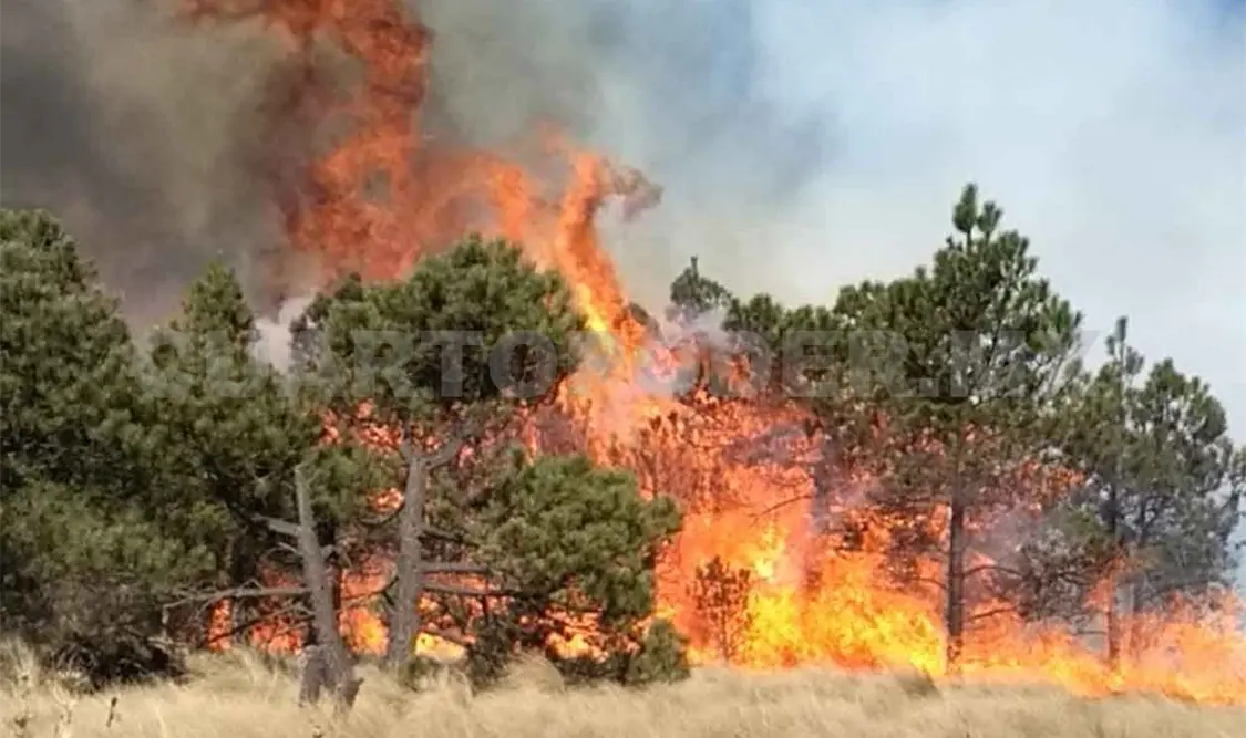 Actualmente hay tres incendios forestales activos