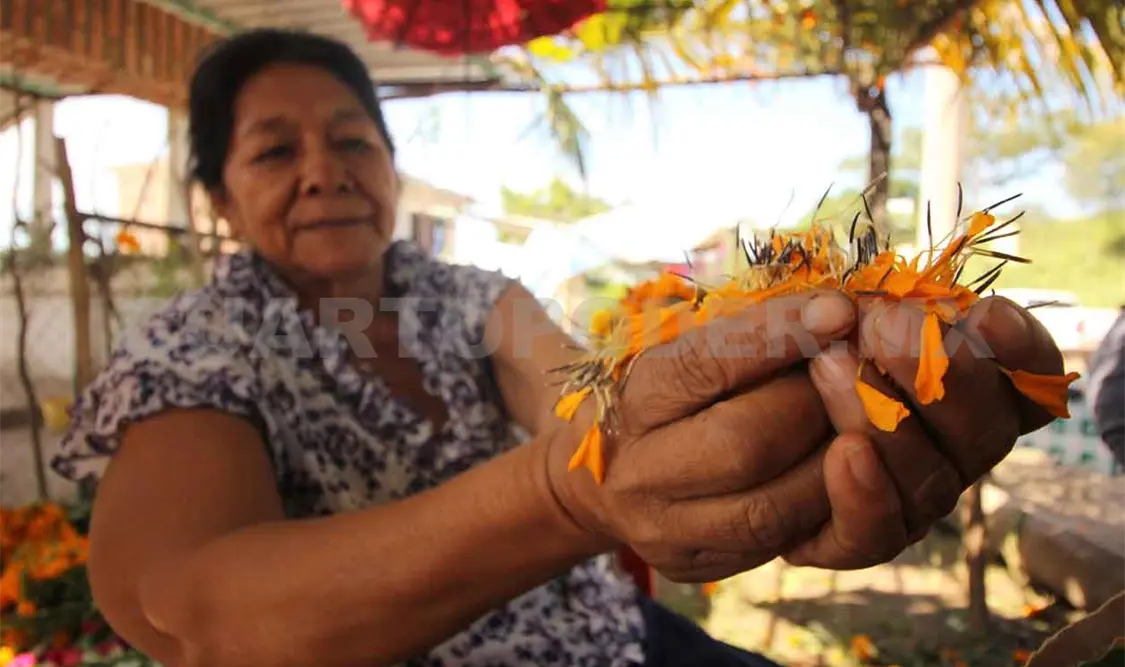 Capacitan a comunidades en producción de flores