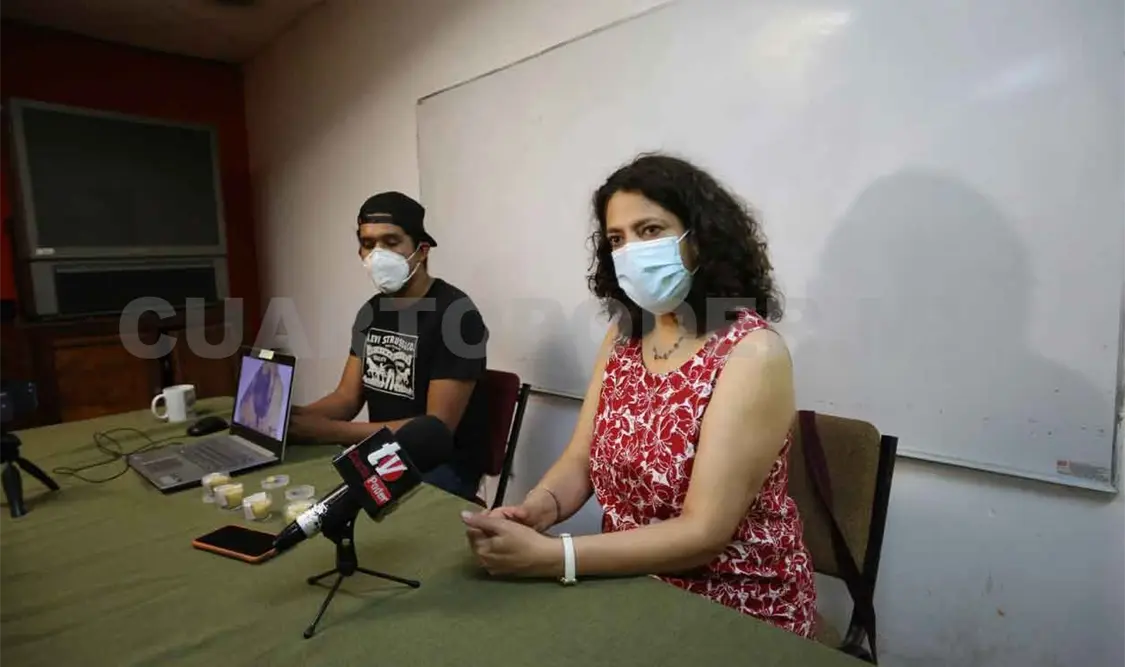 Investigarán piezas fósiles de flores en ámbar