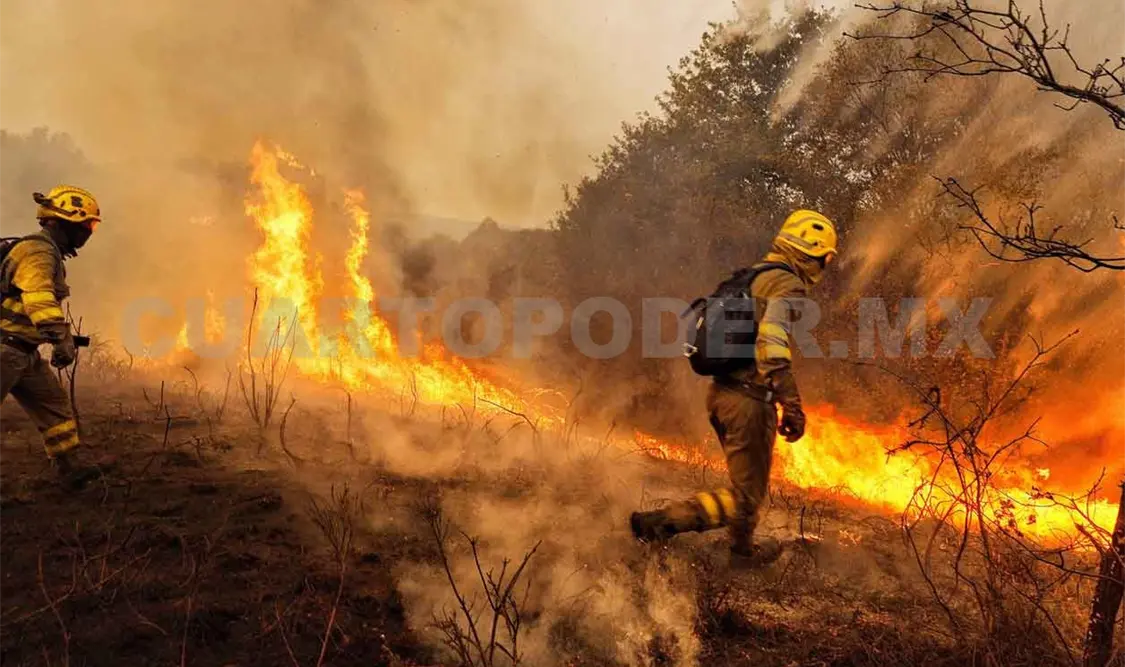 Casi seis mil hectáreas quemadas en el estado
