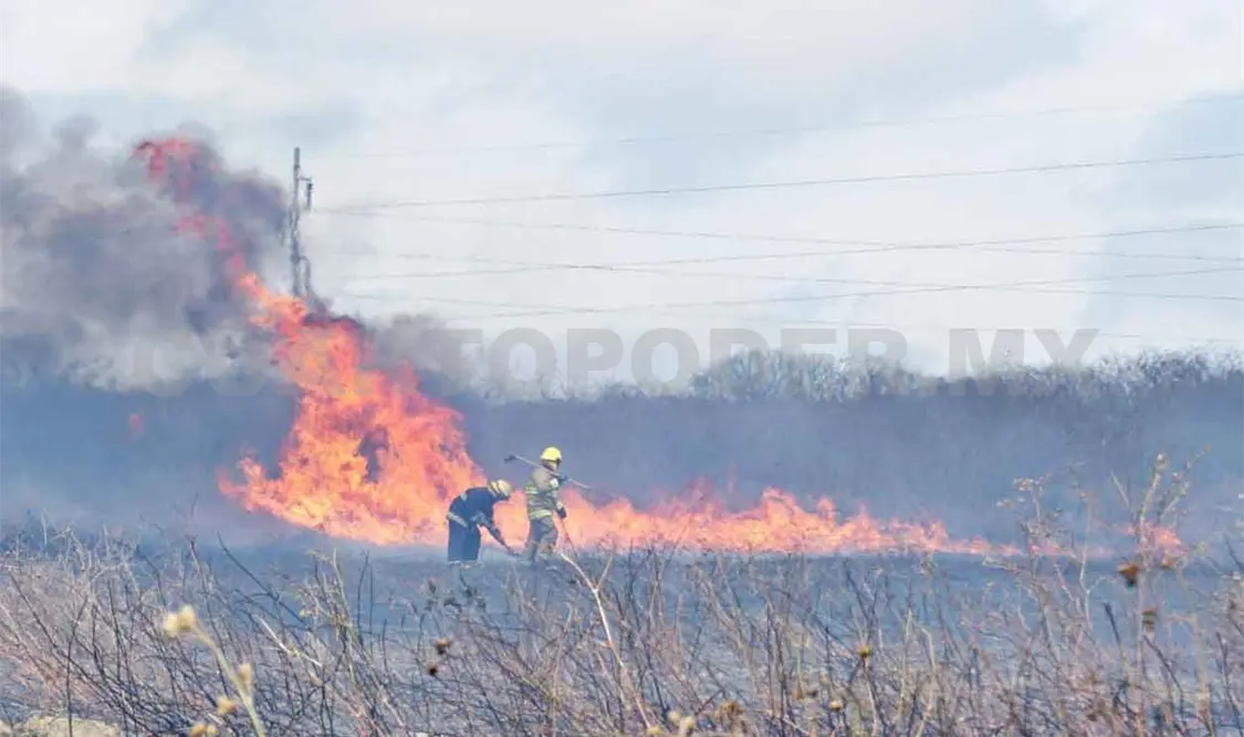 Incendios a la baja en los primeros meses de 2022