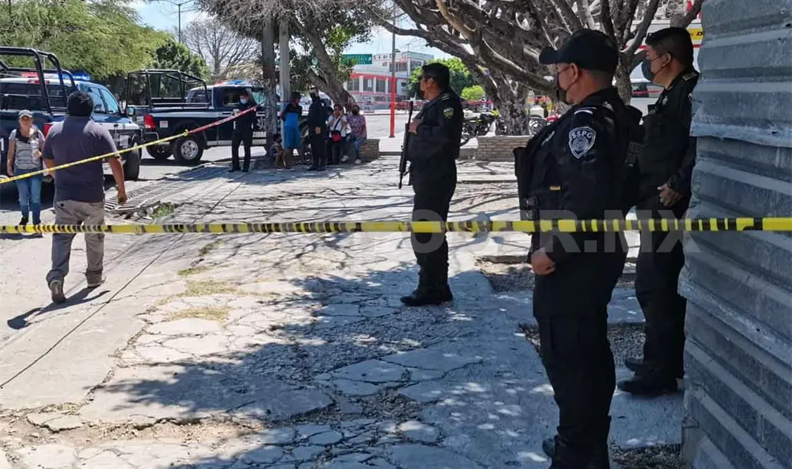 Sujeto murió bajo las copas de unos árboles