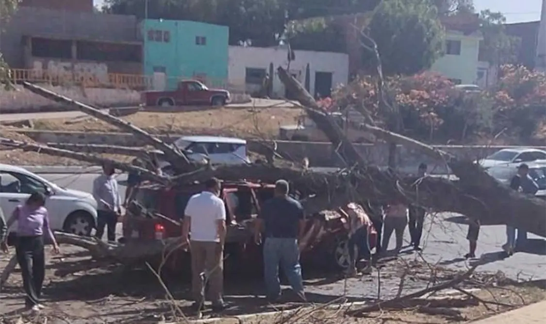 Las autoridades de Soledad no reportaron lesionados. Cortesía
