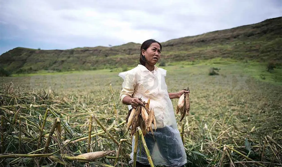 Amplia presencia de mujeres en el sector agroalimentario