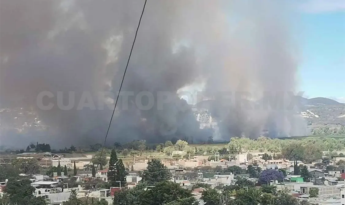 Se incendia el humedal la Ciénega en Comitán