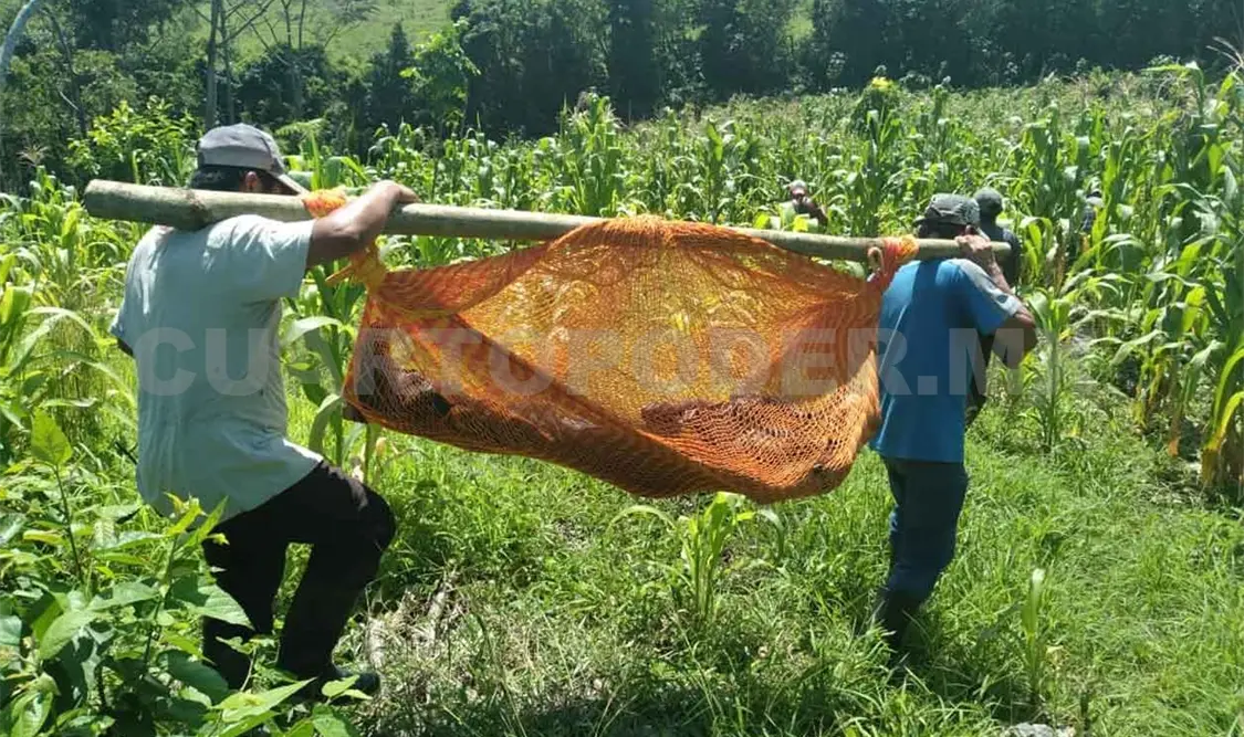 Adolescente muere al caer sobre su machete