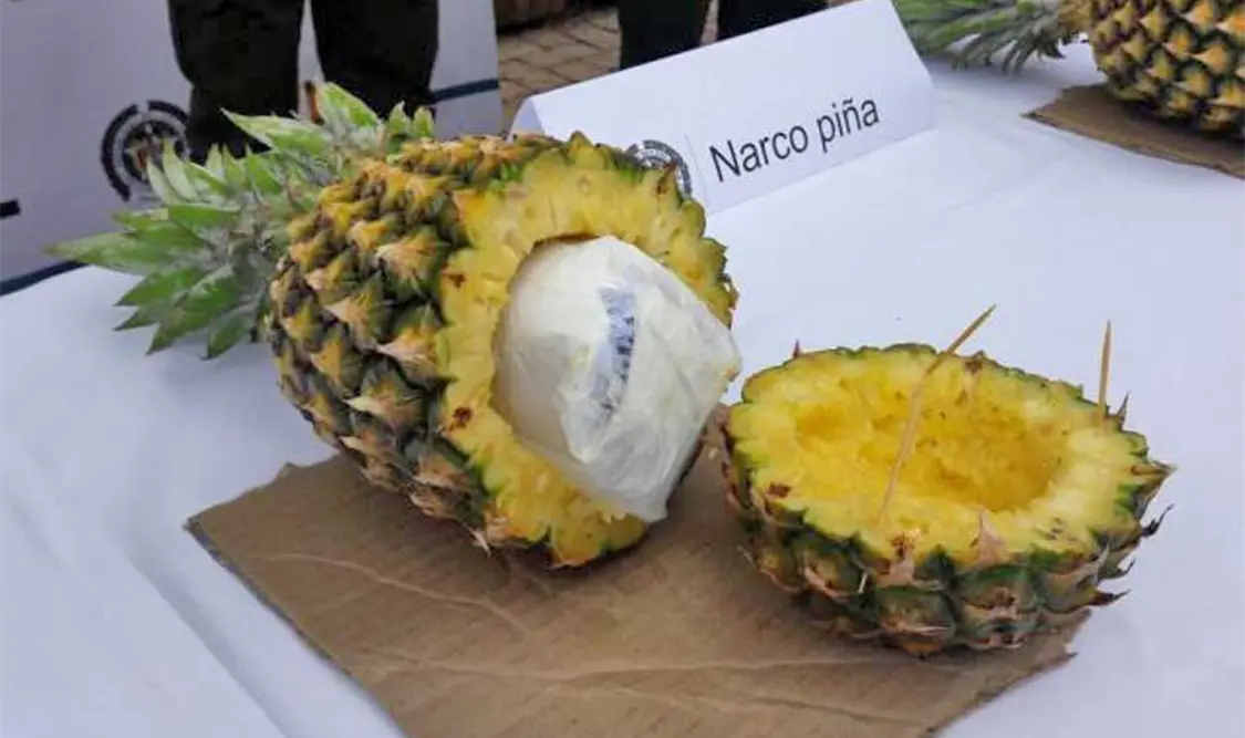Cuantiosas cargas de cocaína son camufladas y mezcladas con exportaciones de América Latina y el Caribe a Europa de mango, banano, piña, entre otras frutas. Cortesía