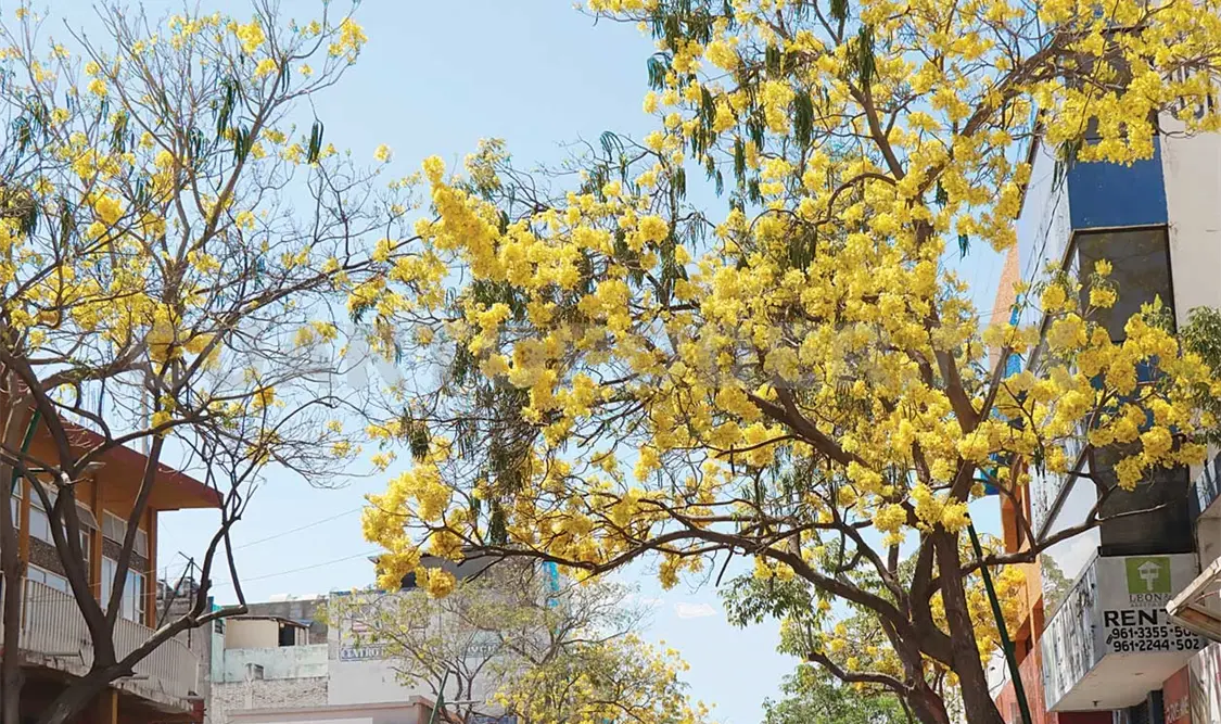 Con la primavera predominan las altas temperaturas durante el día y la jornada suele ser más larga. Cortesía