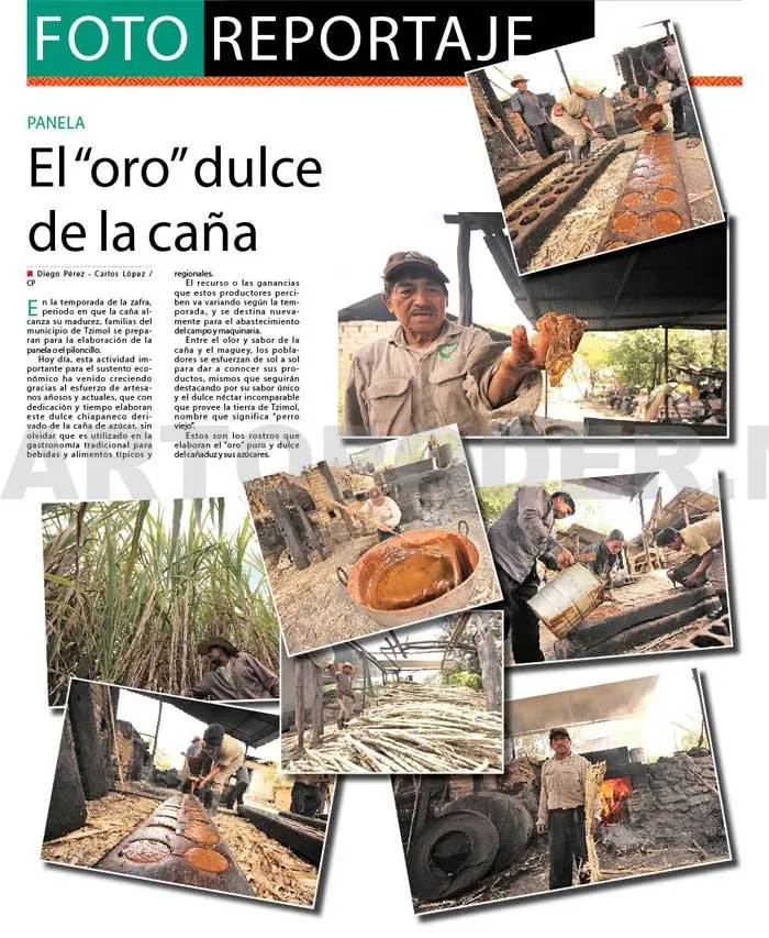 El “oro” dulce de la caña