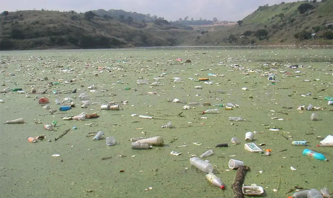 Montebello, en peligro por degradación ambiental