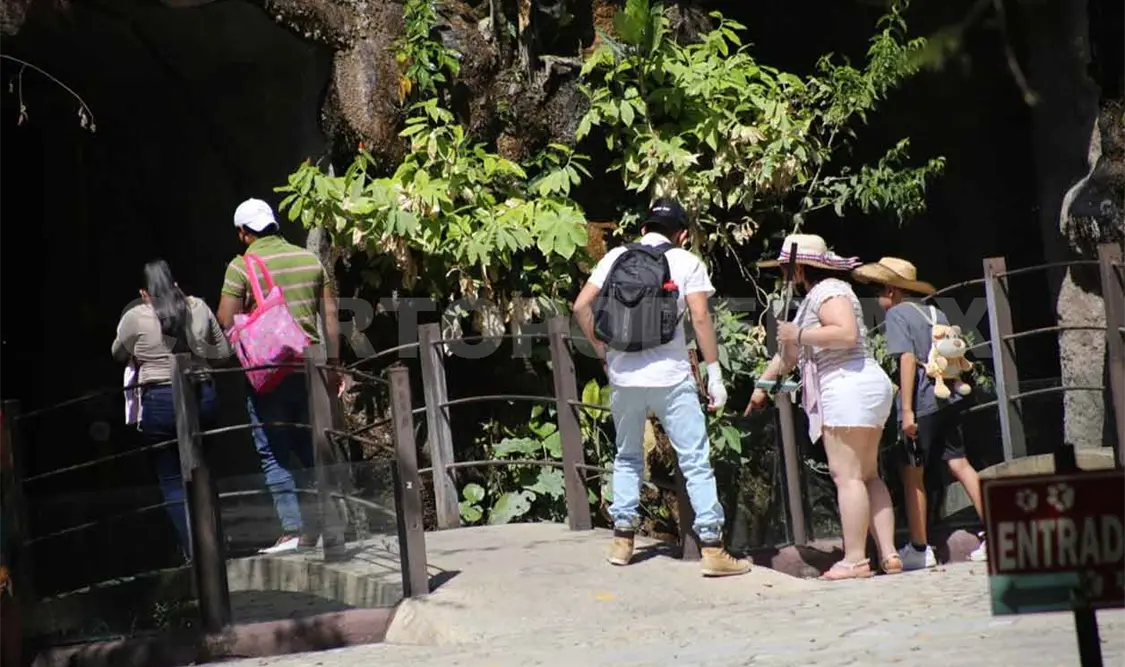 ZooMAT podría recibir unos 30 mil visitantes