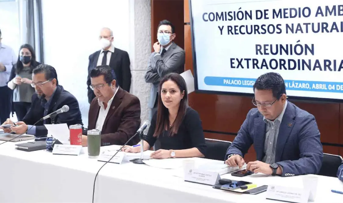 Comisión medioambiental avala reforma eléctrica