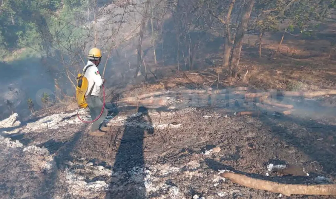 Incendio provoca daños en la colonia Altamira