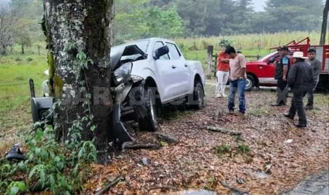 Iban ebrios y acaban chocando contra árbol