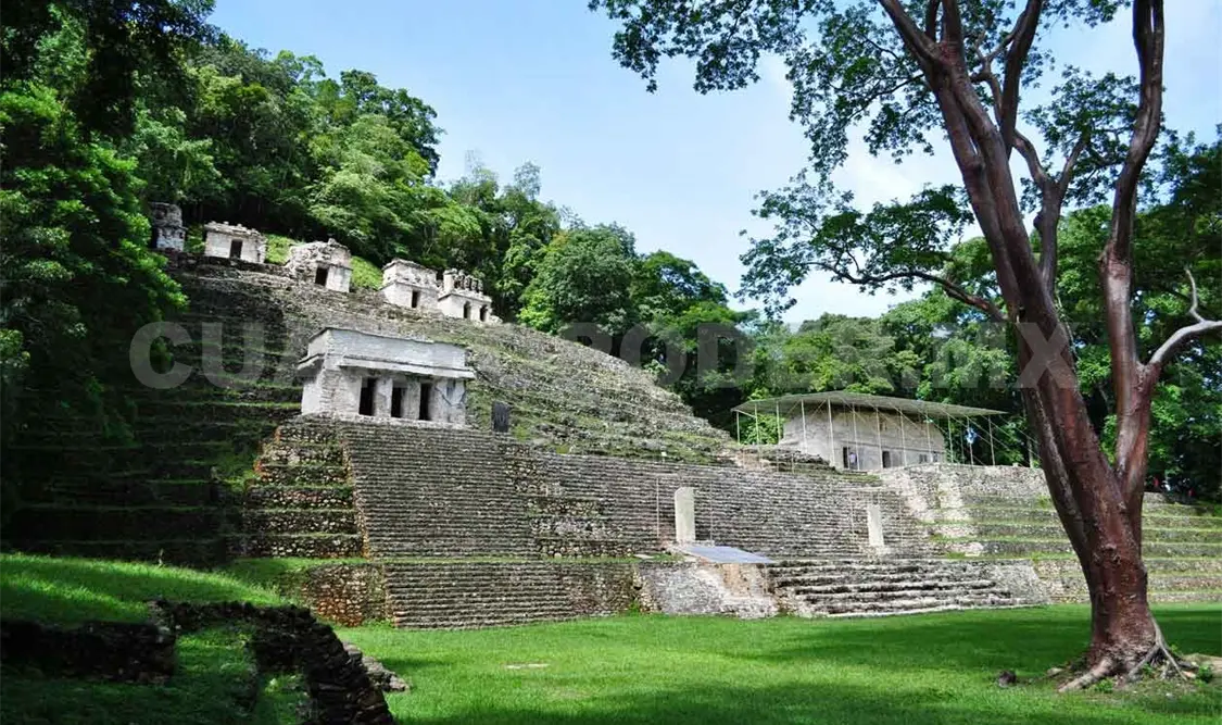 Guías turísticos señalan abuso en Bonampak