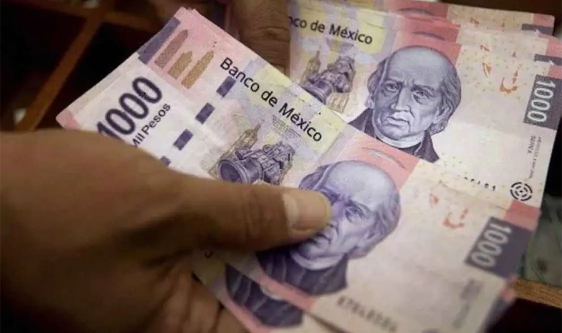 Cofece reserva por cinco años datos sobre anomalías