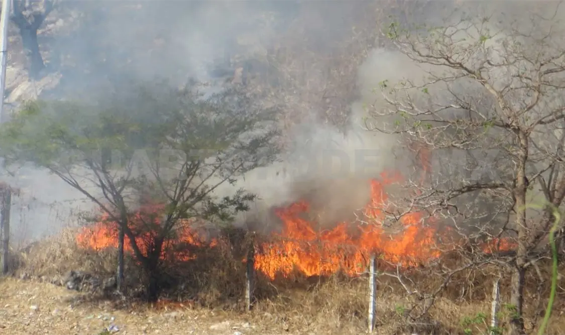 Chiapas sigue en el “Top 10” de entidades federativas que más incendios y superficie quemada registran en lo que va del año. Cortesía