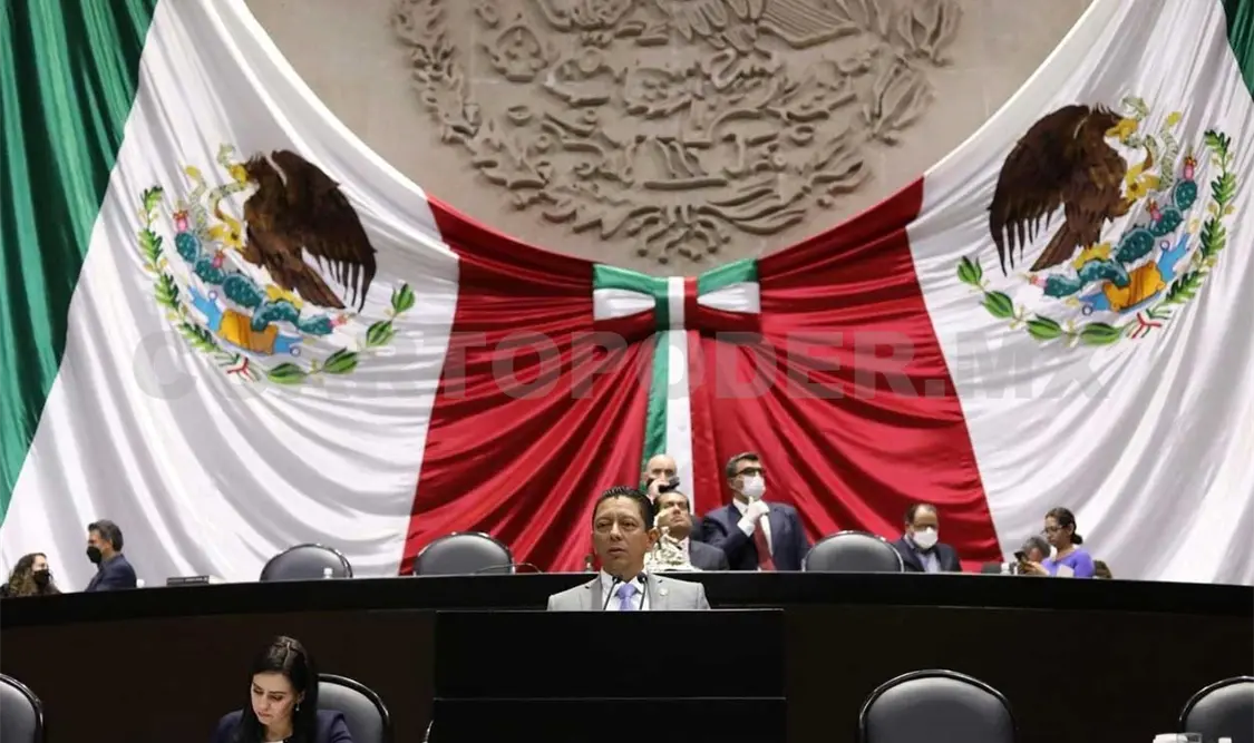 Llaven Abarca subió a tribuna de la Cámara de Diputados para fijar su postura en materia de desaparición forzada de personas. CP