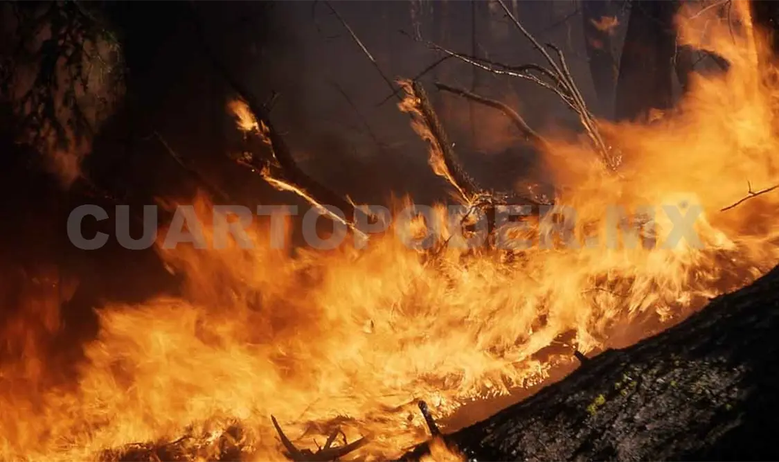 Más de 20 mil hectáreas se quemaron por incendios