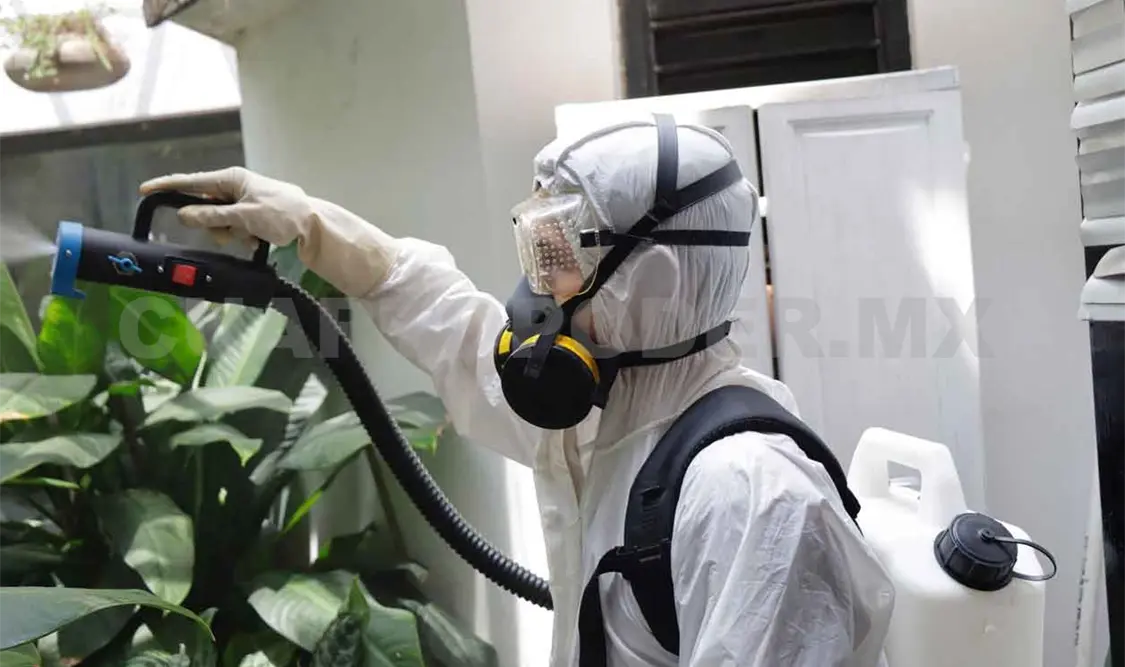 Analizan tres muertes por dengue en Chiapas